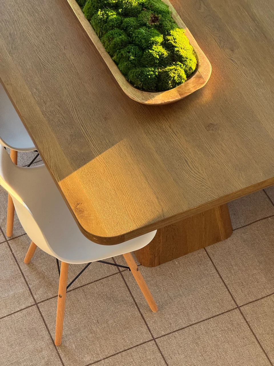 Afternoon sunlight on a wooden dining table with a moss-filled bowl and white chairs