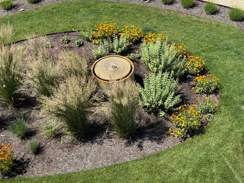 A round fountain surrounded by ornamental grasses and yellow flowers in a curved garden bed.